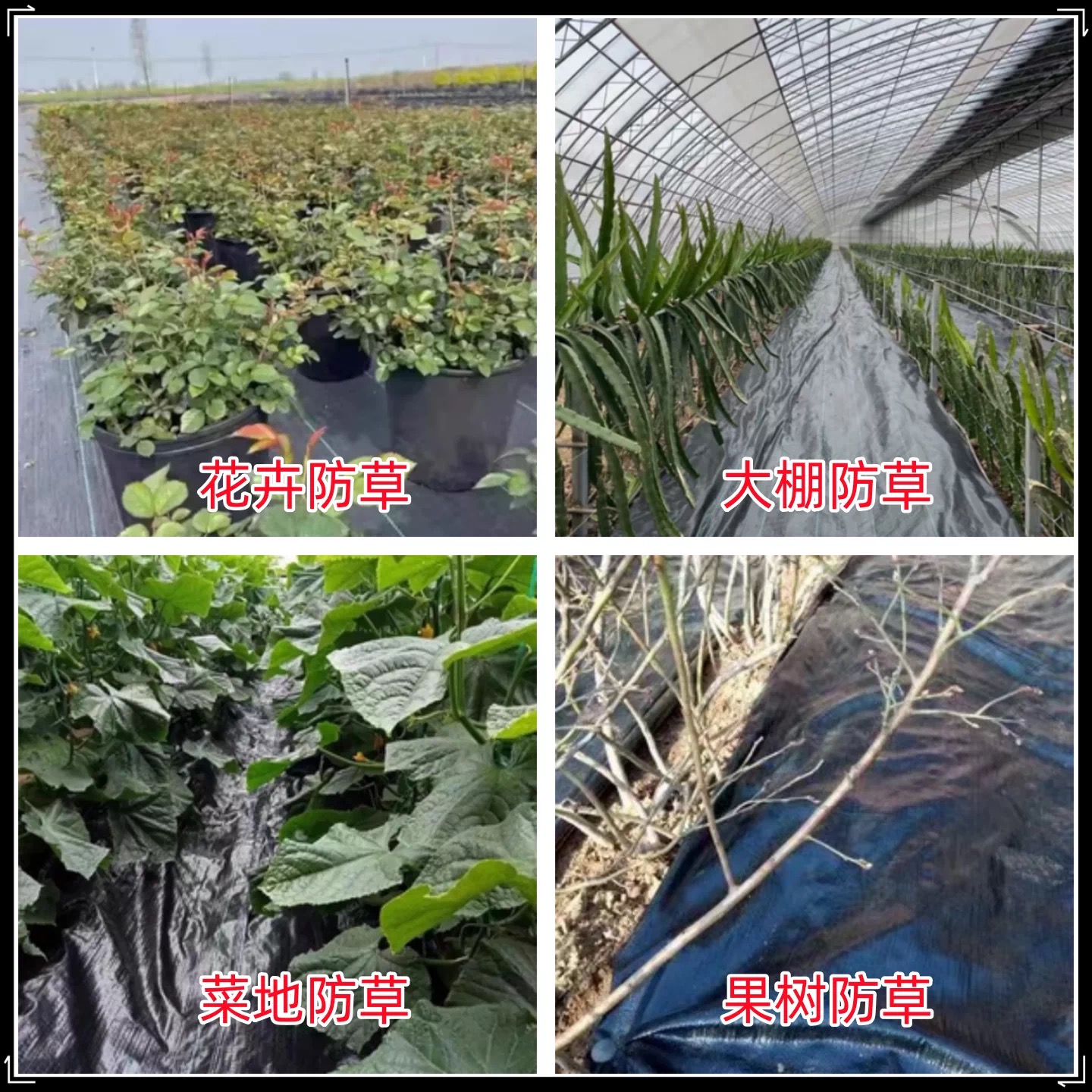 济南市农用薄膜防草布 - 哪里好
