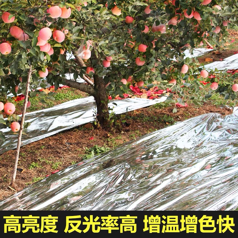 济南市po膜果树反光膜 - 哪里好